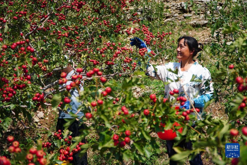 菲律宾宝盈公司